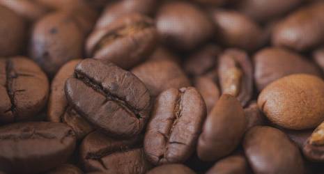 ¿Cuánto ruido hace una cafetera espresso al preparar café?