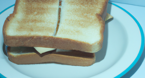 ¿Se pueden hacer sándwiches calientes y fríos en una sandwichera?